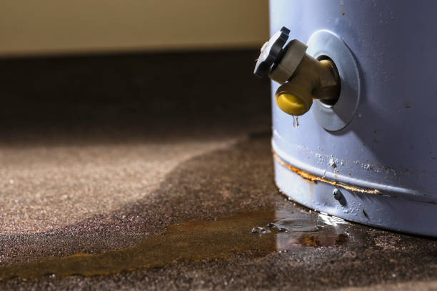 Best Flood restoration services  in Aspinwall, PA