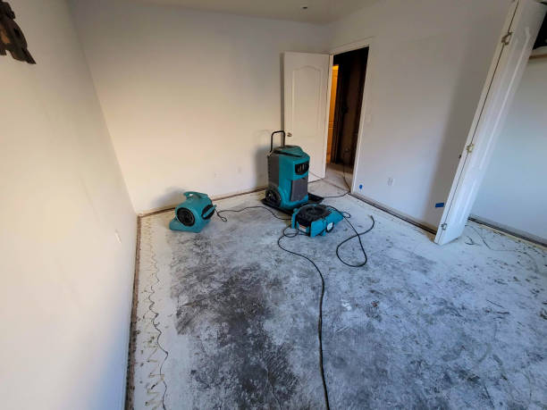 Best Professional water damage repair  in Aspinwall, PA