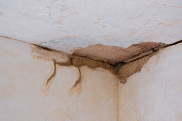 Best Sewage cleanup and water damage restoration  in Aspinwall, PA