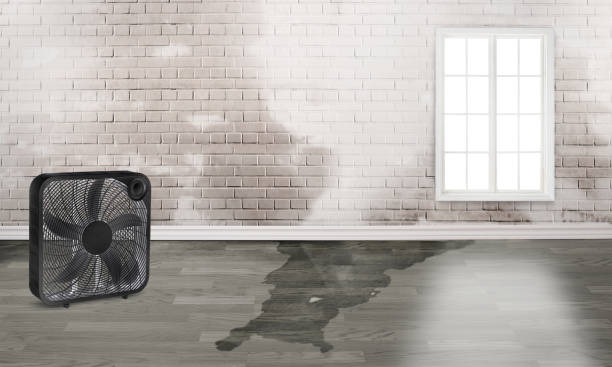 Best Water damage restoration near me  in Aspinwall, PA