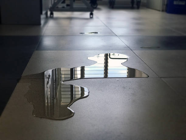 Best Water damage restoration near me  in Aspinwall, PA