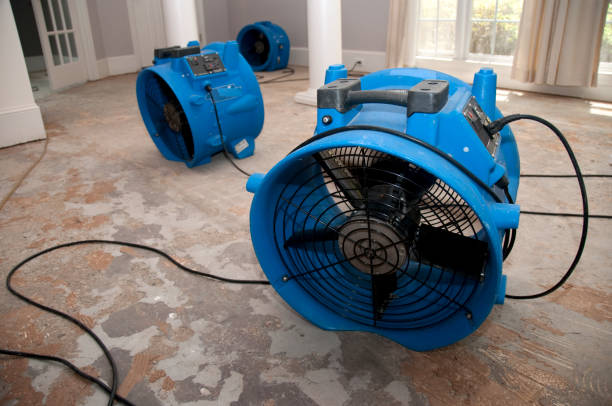 Best Commercial water damage restoration  in Aspinwall, PA