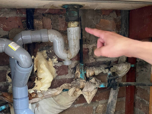 Best 24/7 water damage repair  in Aspinwall, PA