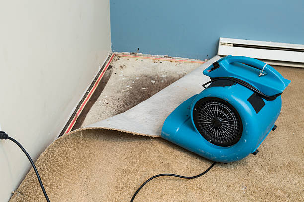 Best Water damage contractors near me  in Aspinwall, PA